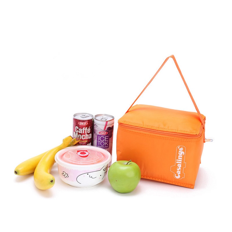 SGC24 Best Quality Promotion Insulated Zip Closure Foldable Tote Lunch Beer Cooler Bag Mini Ice Cream Cooler Bag