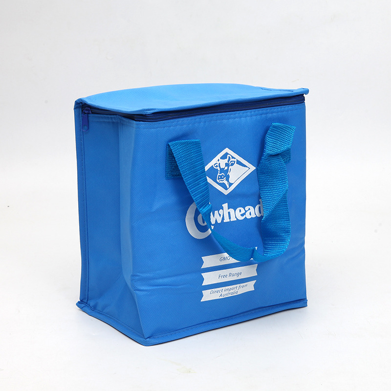 SGC30 Wholesale Cheap Promotional Price Recyclable Custom Logo printed Grocery Tote Insulated Cooler Bag